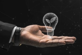 Sağlıklı bir fikrim var 2025 Yarışması