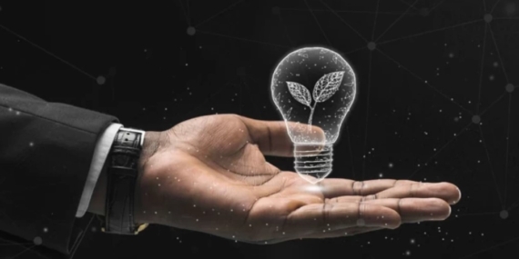 Sağlıklı Bir Fikrim Var 2025 Yarışması Hakkında Bilgiler